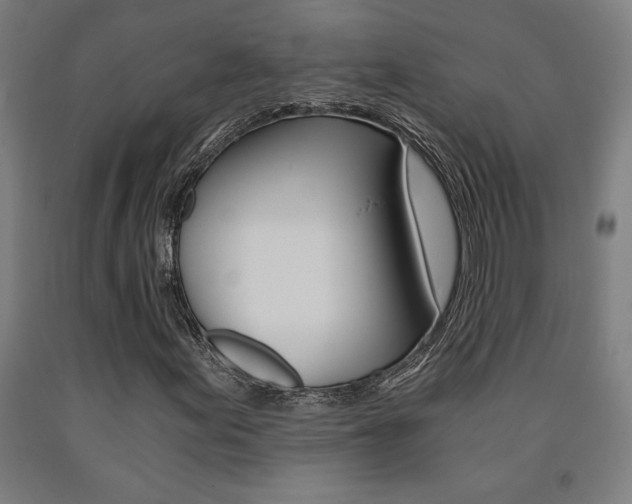 X0000093241155200709261524
