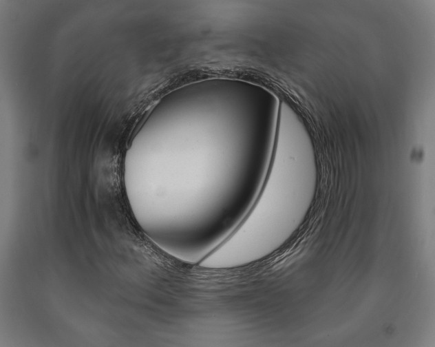 X0000093241156200709261524