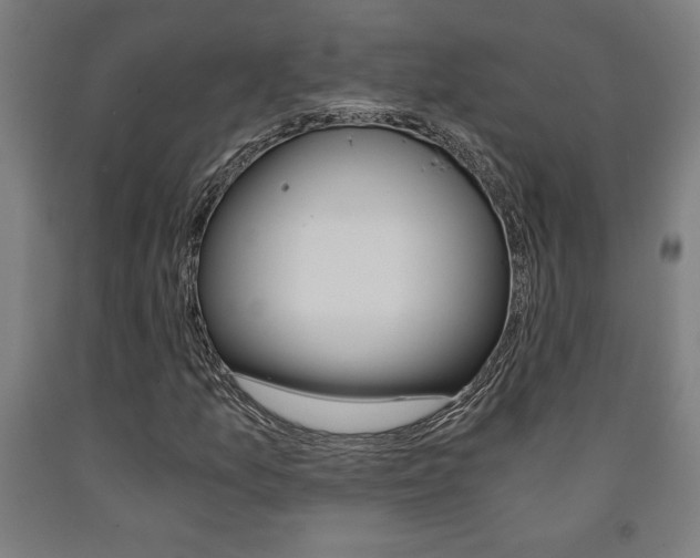 X0000093241157200709261524