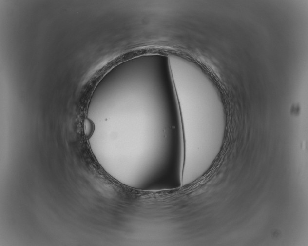 X0000093241159200709261524