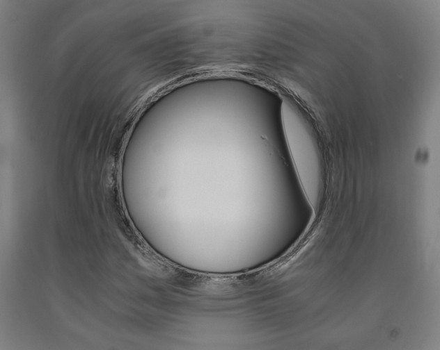 X0000093241161200709261524