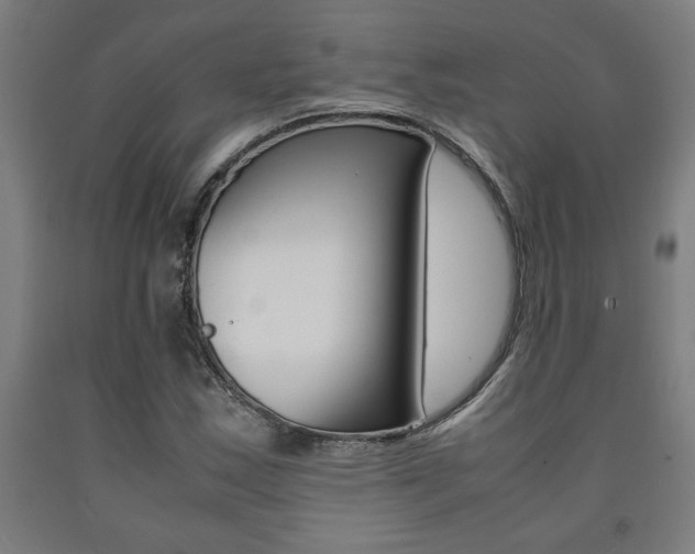 X0000093241163200709261524