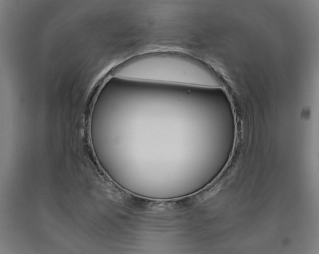 X0000093241165200709261524
