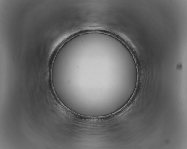 X0000093241167200709261524