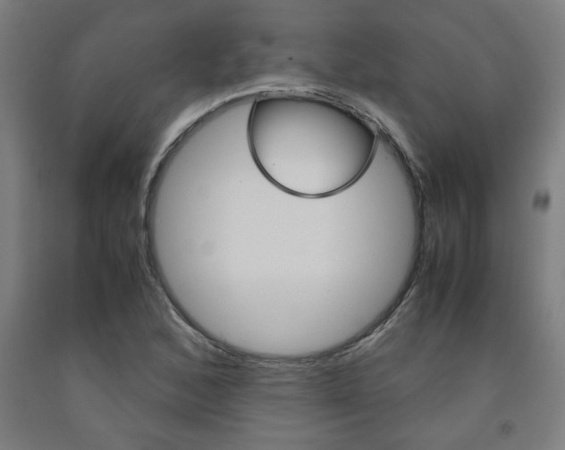 X0000093241168200709261524