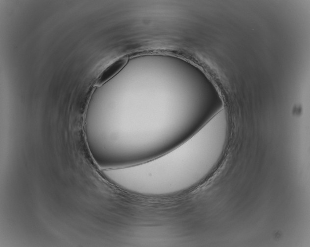 X0000093241169200709261524