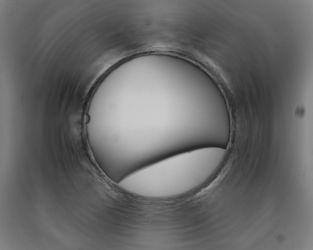 X0000093241170200709261524