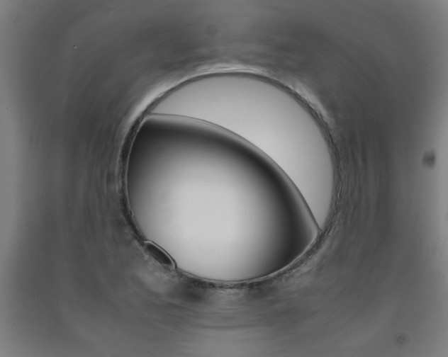 X0000093241173200709261524