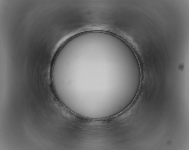 X0000093241174200709261524