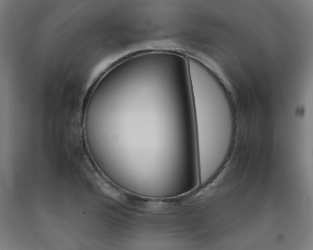X0000093241176200709261524