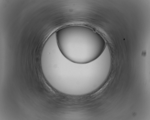 X0000093241177200709261524