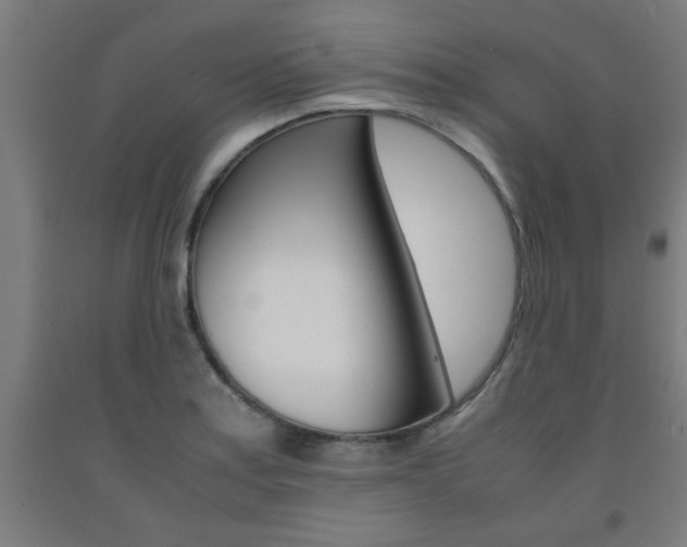 X0000093241179200709261524
