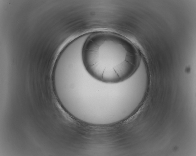 X0000093241181200709261524
