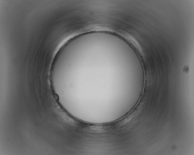 X0000093241182200709261524