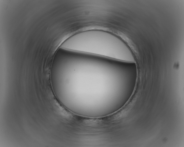 X0000093241185200709261524