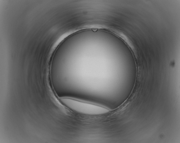X0000093241187200709261524