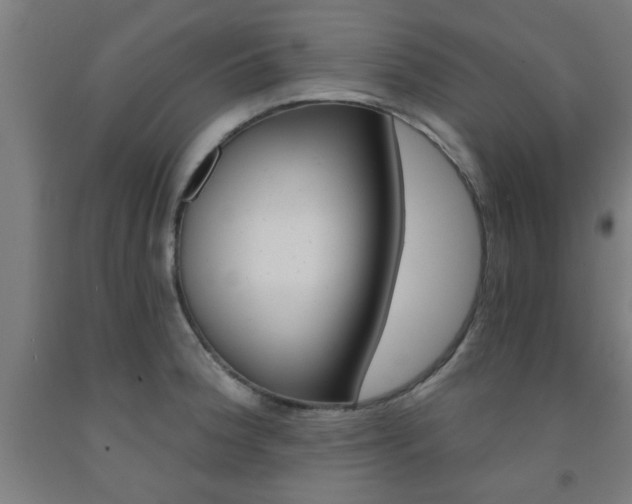 X0000093241188200709261524