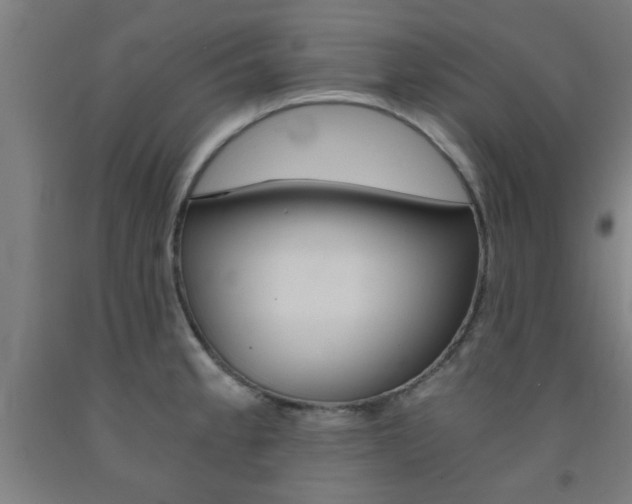 X0000093241189200709261524