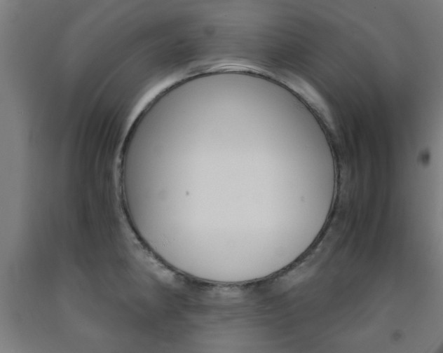 X0000093241190200709261524