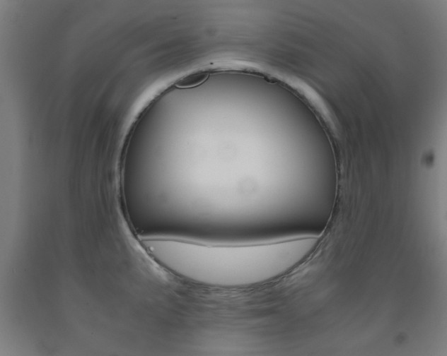 X0000093241191200709261524