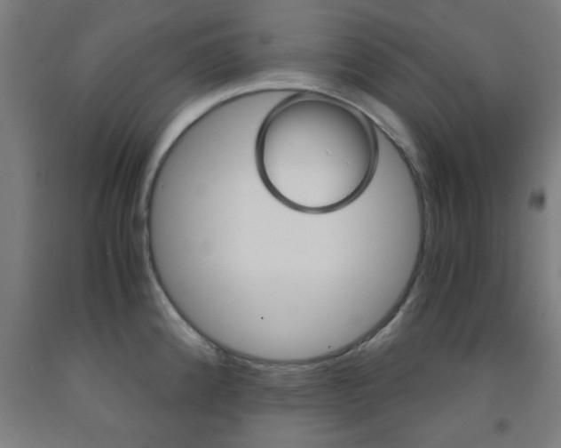 X0000093241192200709261524