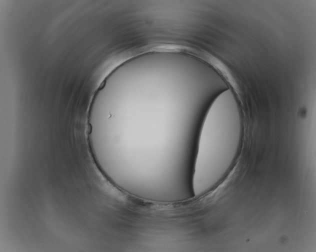 X0000093241194200709261524