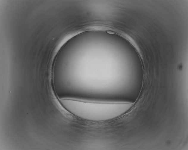 X0000093241195200709261524