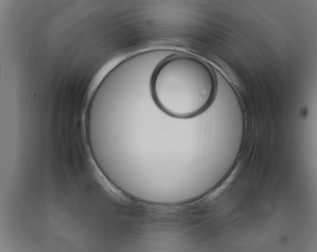 X0000093241196200709261524