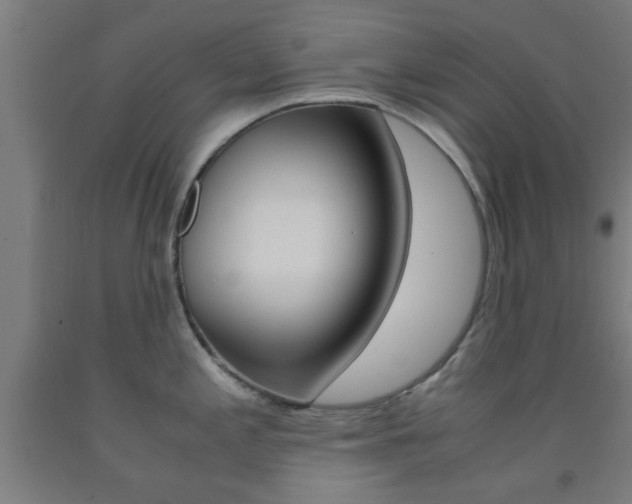 X0000093241197200709261524