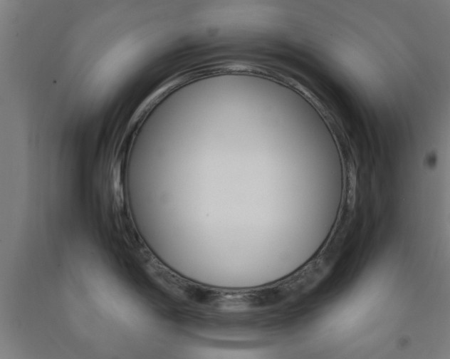X0000093241198200709261524