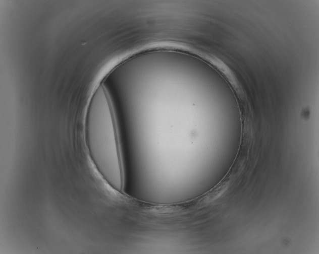 X0000093241199200709261524