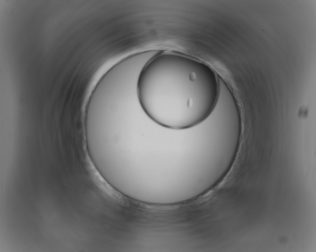 X0000093241200200709261524