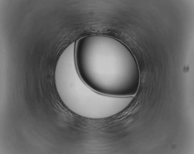 X0000093241202200709261523