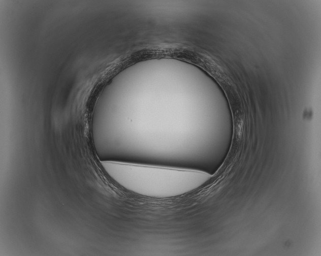 X0000093241204200709261523