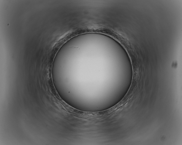X0000093241205200709261523