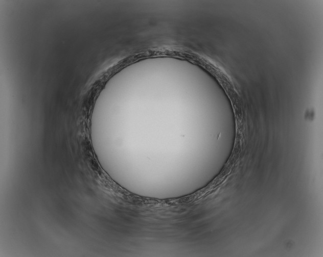 X0000093241207200709261523
