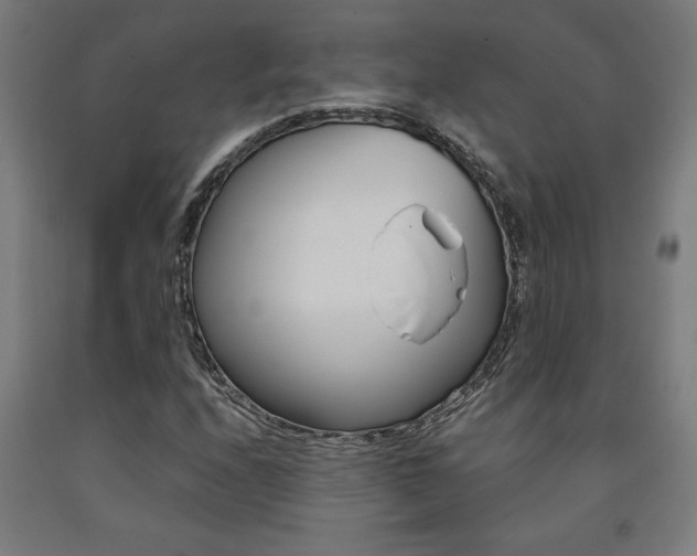 X0000093241208200709261523