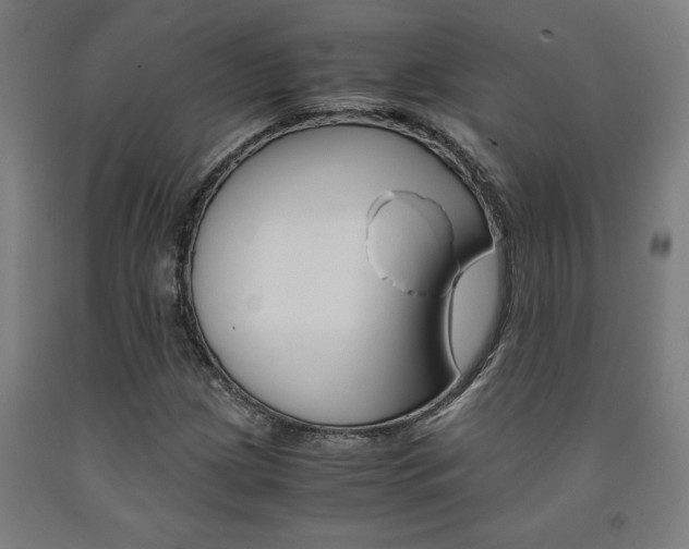 X0000093241209200709261523