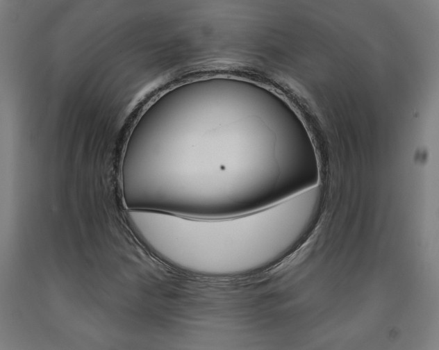X0000093241210200709261523