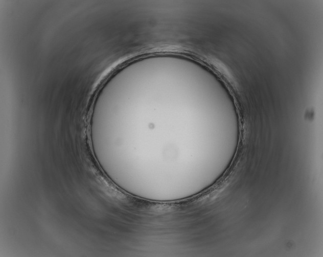 X0000093241212200709261523