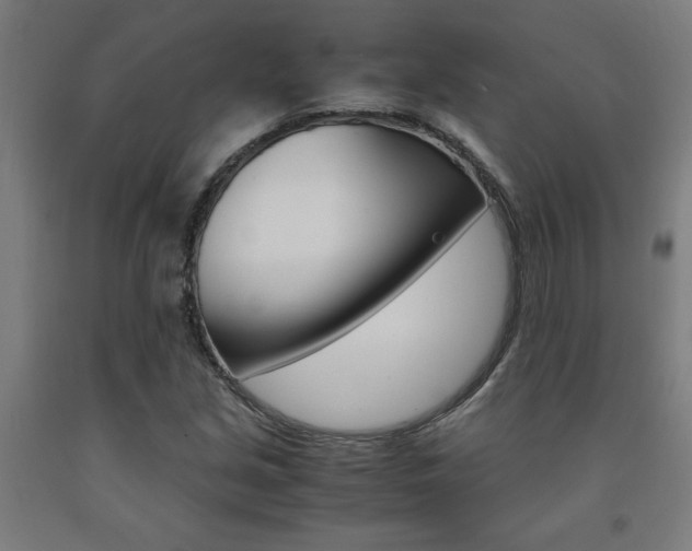X0000093241213200709261523