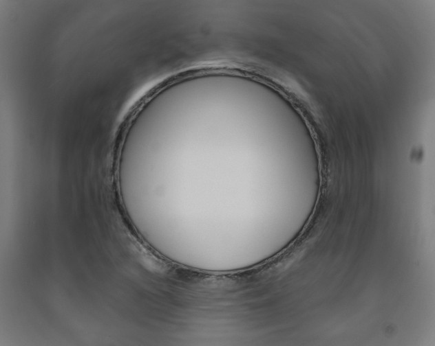 X0000093241216200709261523