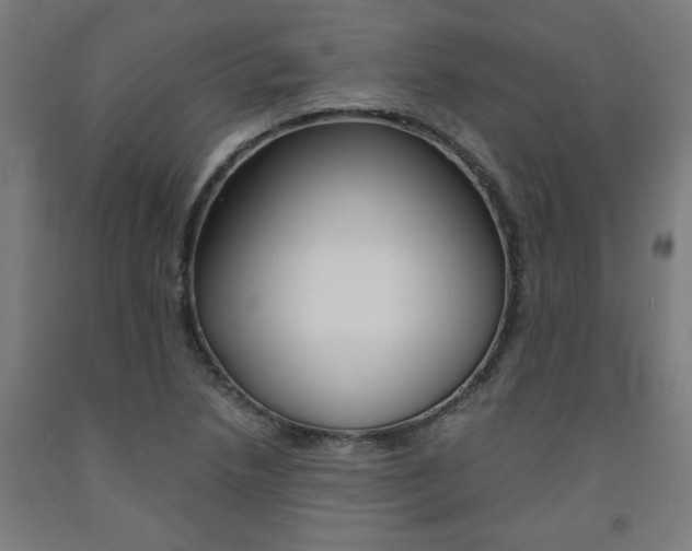 X0000093241218200709261523