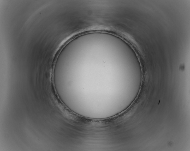 X0000093241220200709261523