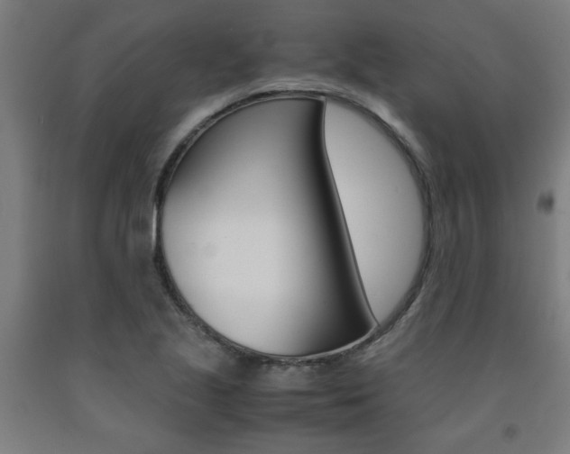 X0000093241221200709261523