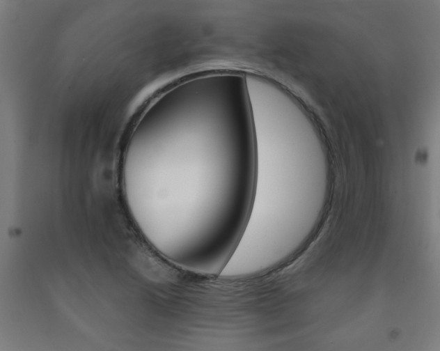 X0000093241222200709261523