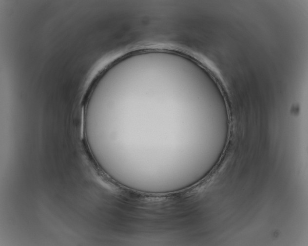 X0000093241223200709261523