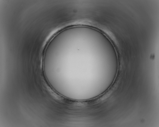 X0000093241224200709261523
