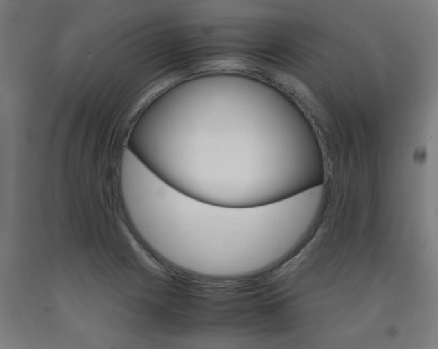 X0000093241225200709261523