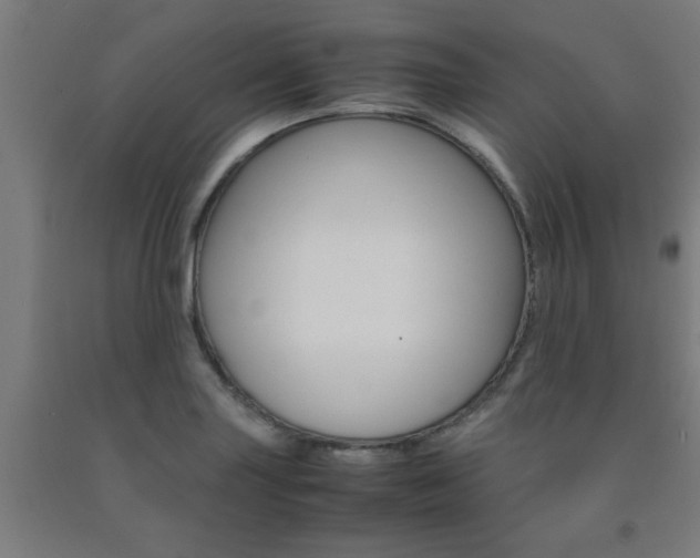 X0000093241227200709261523